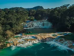 Chiapas Premium