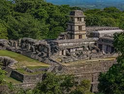 Palenque Premium