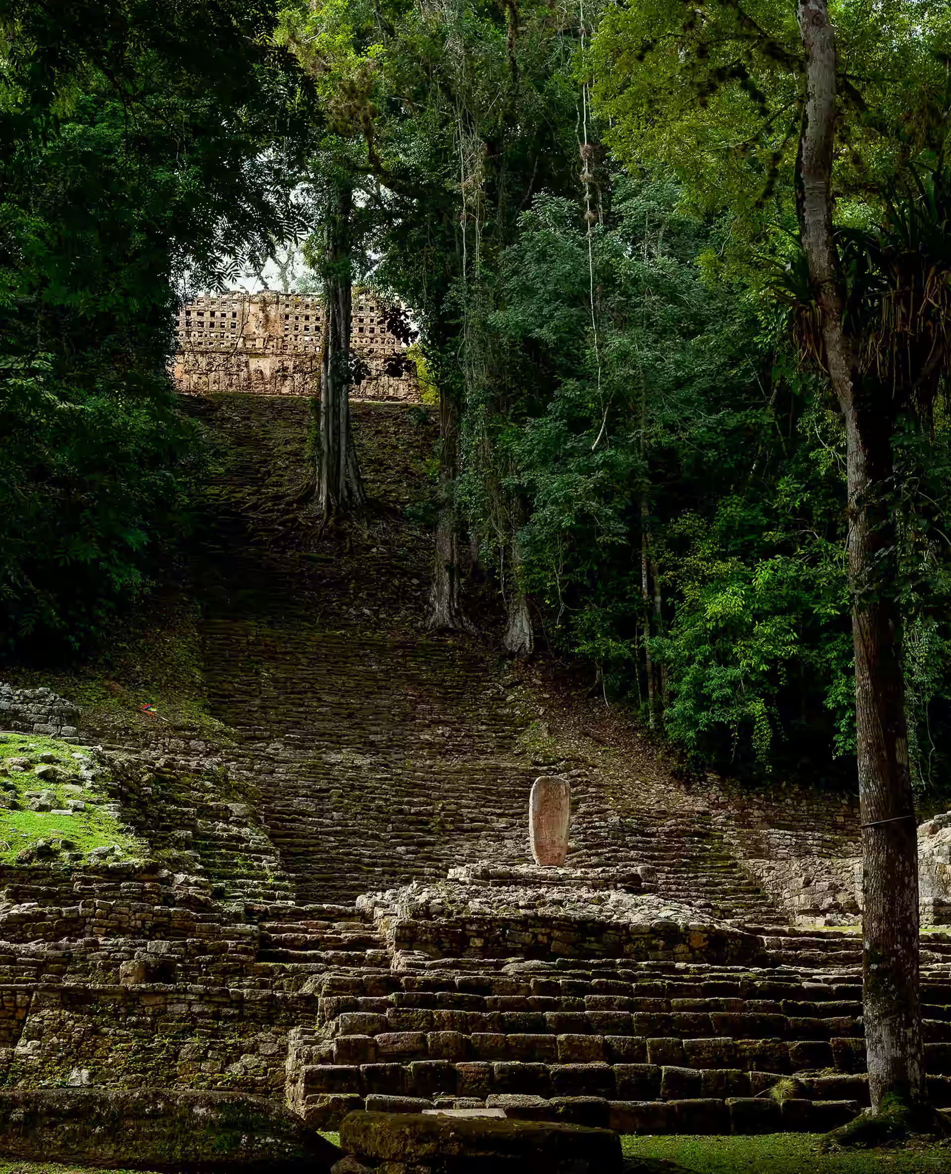 Selva Lacandona
