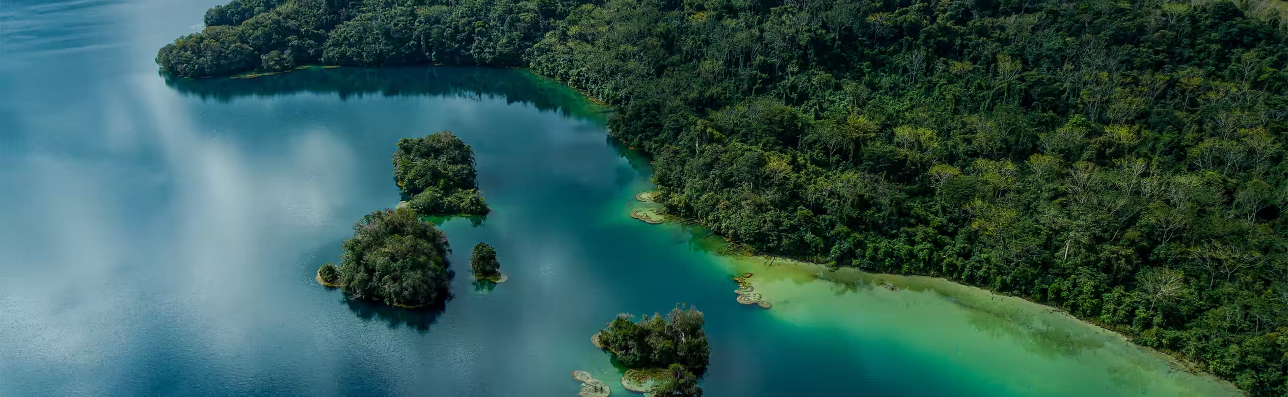 Selva Lacandona Selva Lacandona