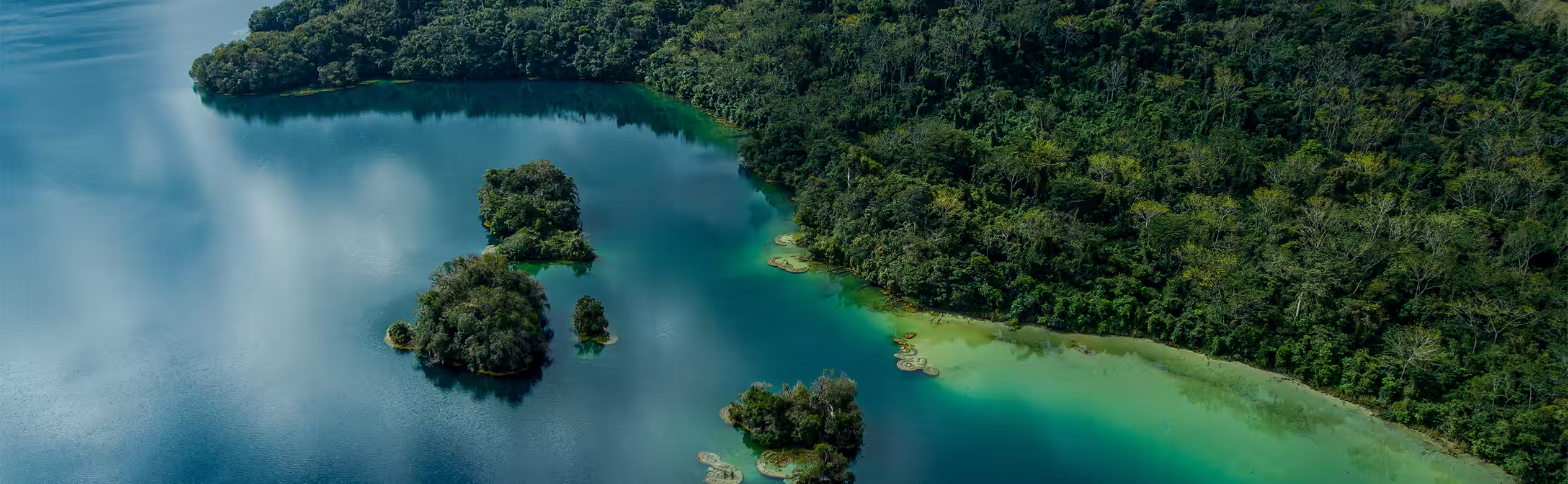 Selva Lacandona