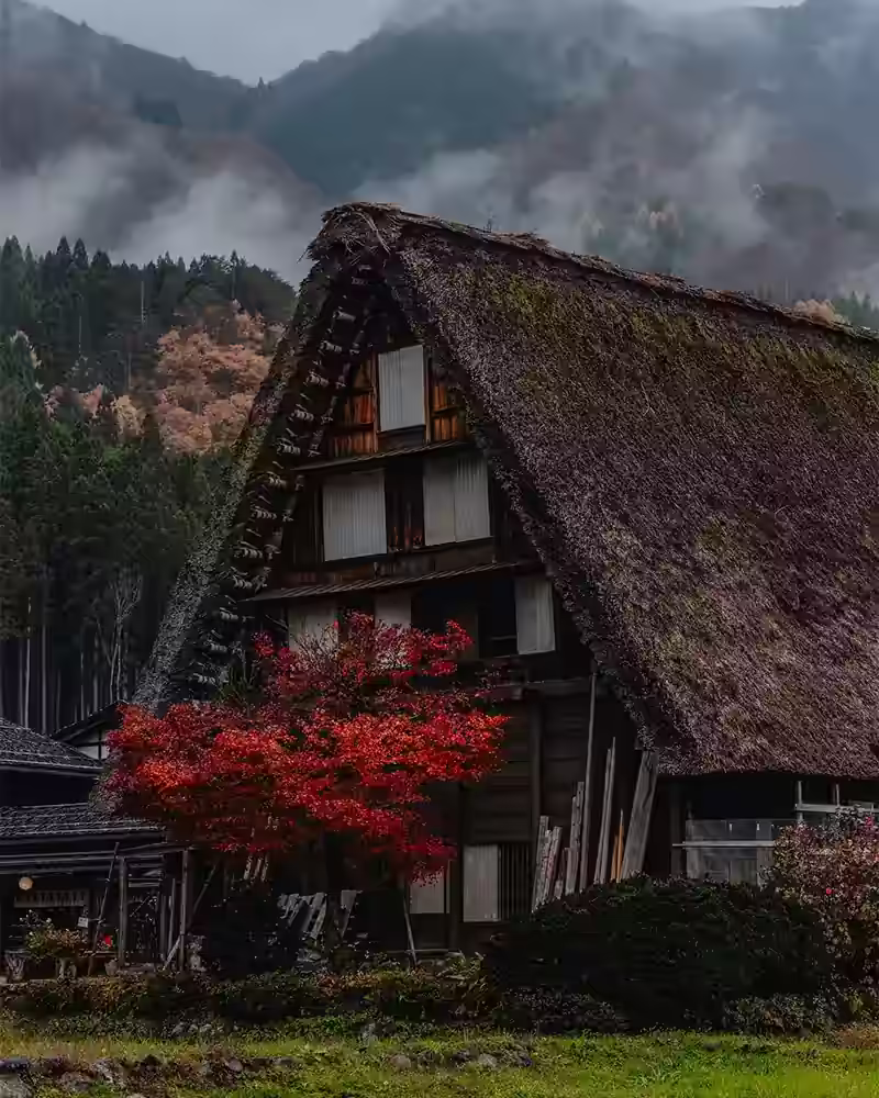 Shirakawago