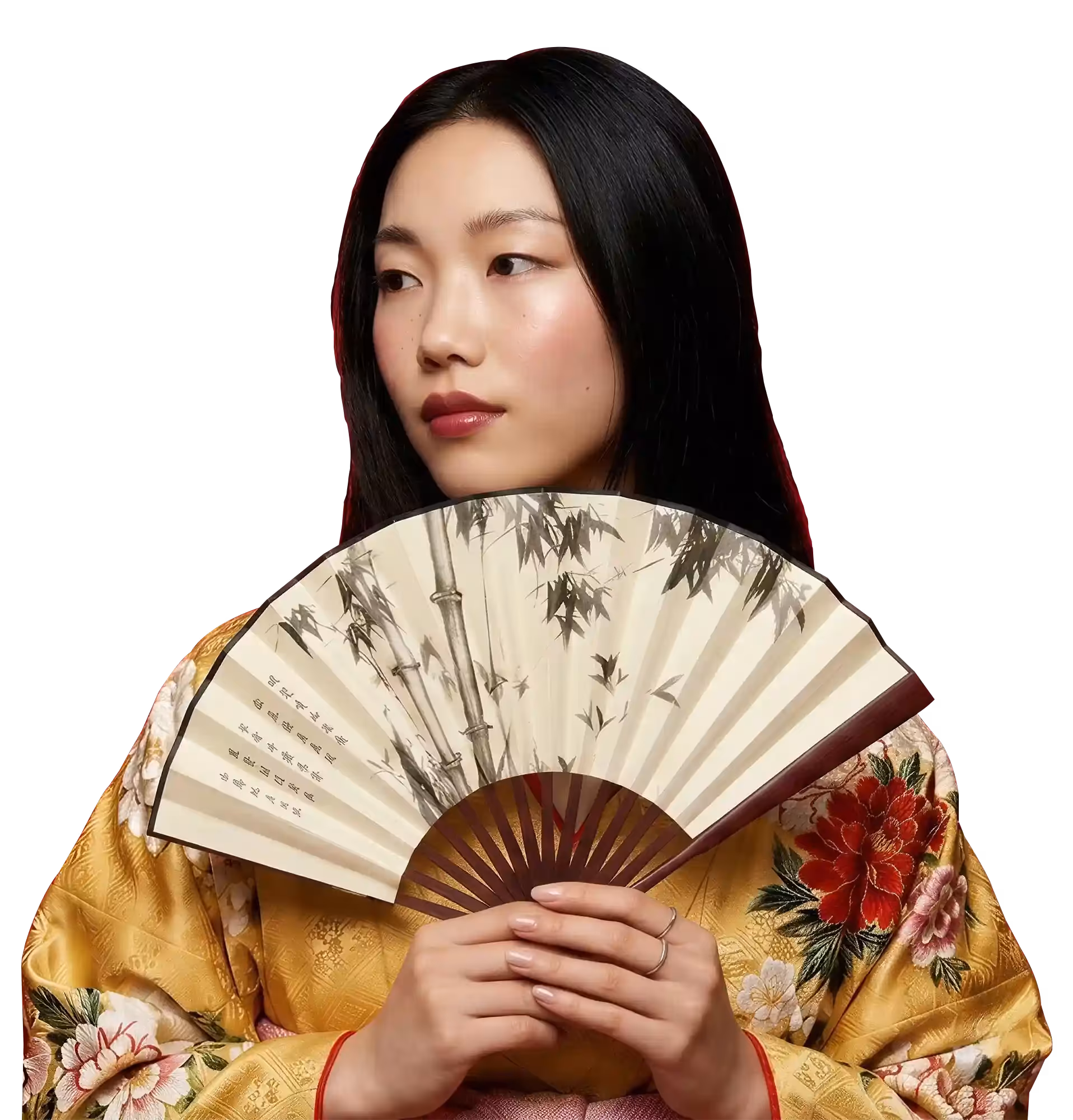 Geisha en Japón